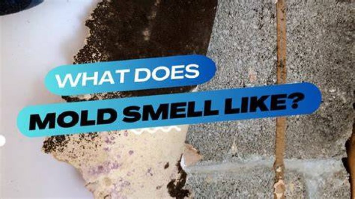 Why does my ice smell like mildew