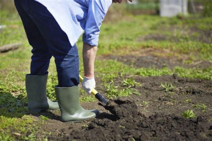 Why does my soil smell bad