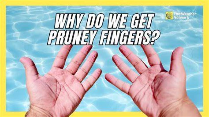 Why does your skin get pruney in water