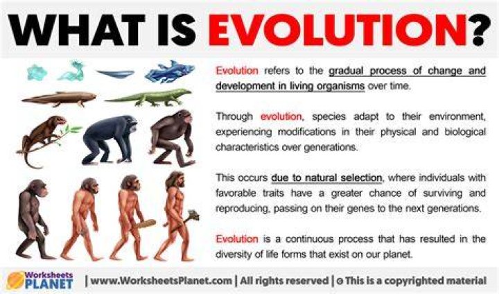 Why is evolution a unifying theory in biology