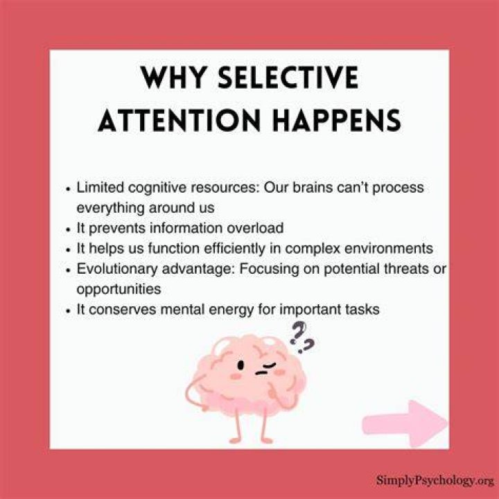 Why is human attention selective