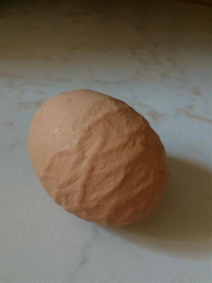 Why is my egg shell rough