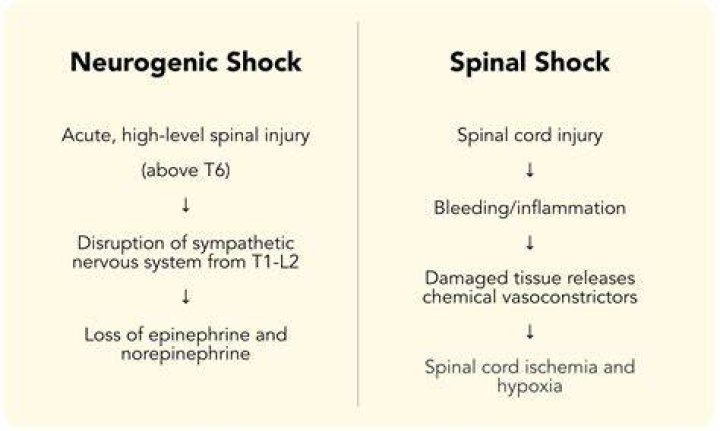 Why is neurogenic shock threatening