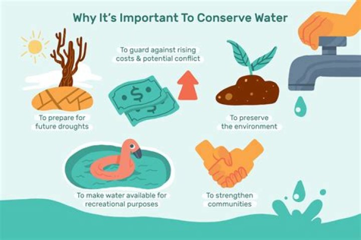 Why is water important for rabbits