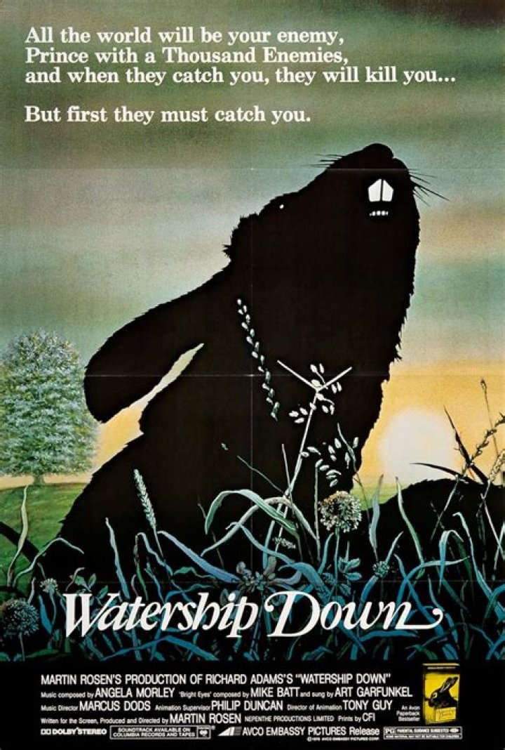 Why is Watership Down called Watership Down