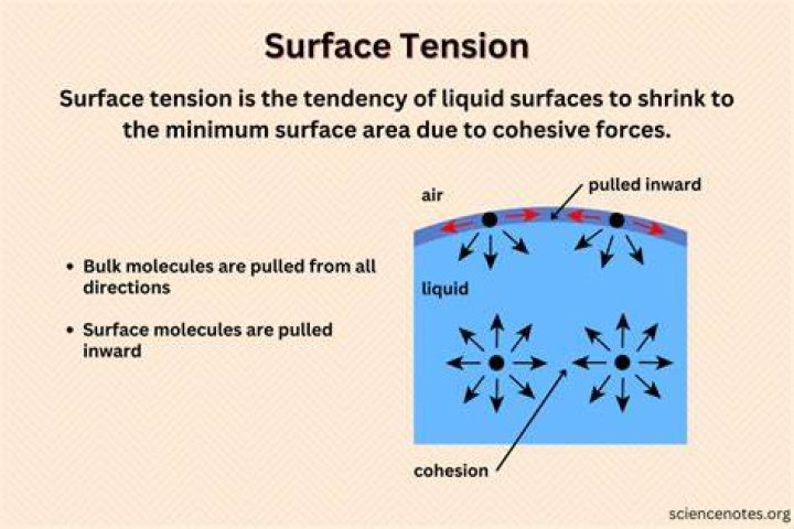 Why Surface tension decreases with increase in concentration