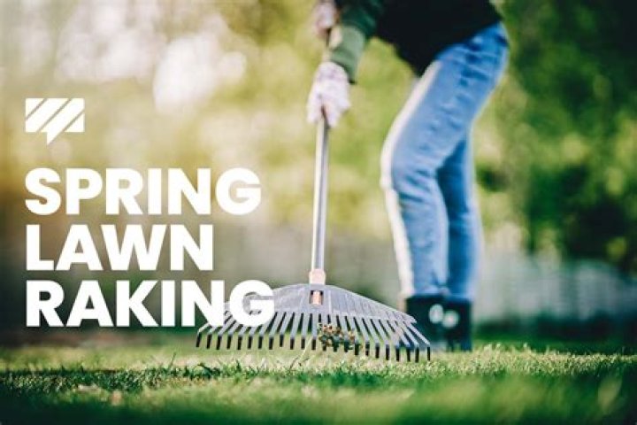 Why you shouldnt rake your lawn