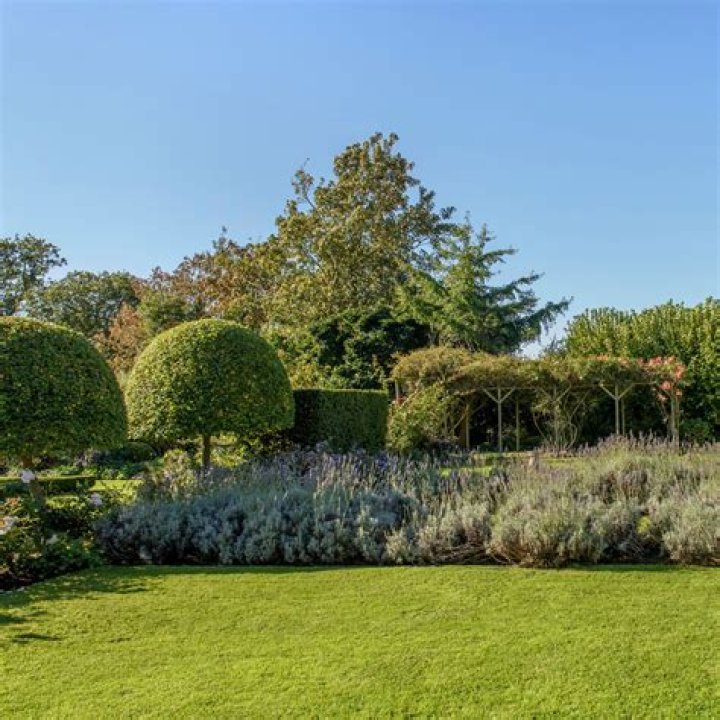 Will Bahia grass reseed itself