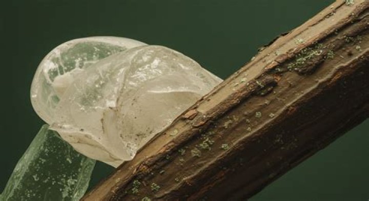 Will CitriStrip harm plastic